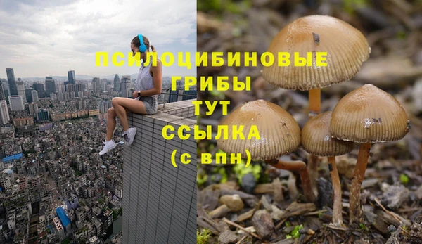 мдпв Пересвет