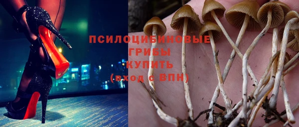 таблы Алзамай
